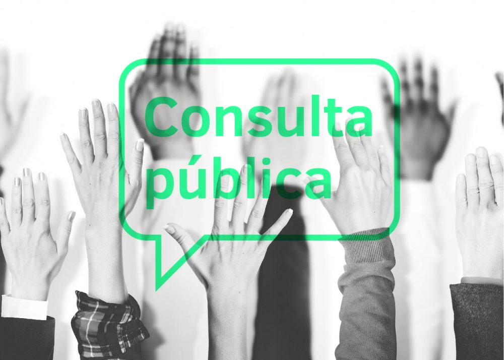 Consulta pública